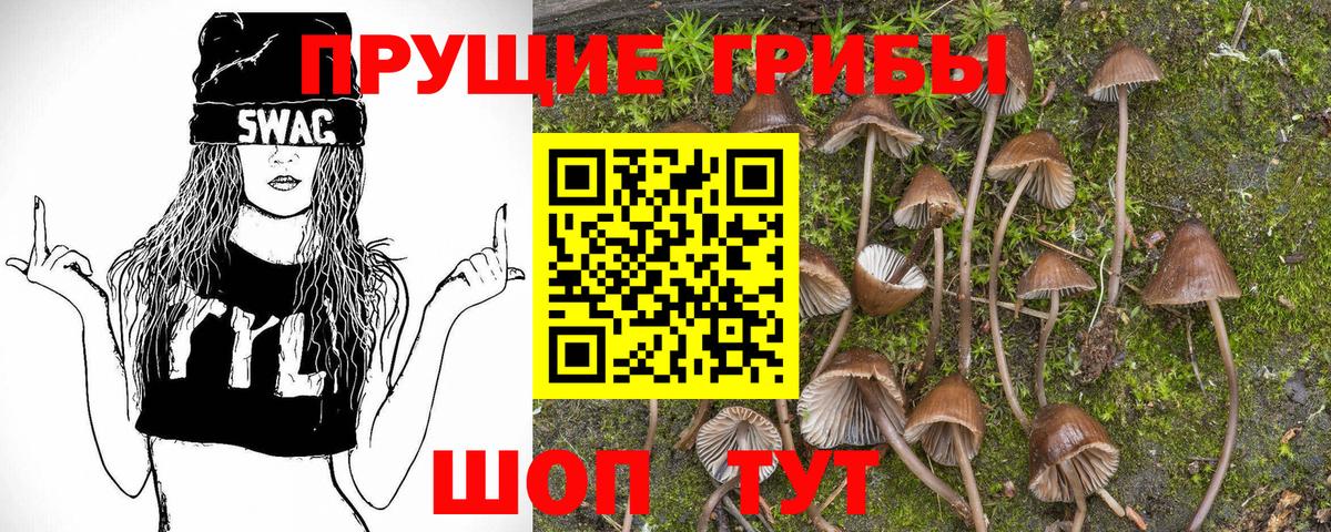 Азов  Псилоцибиновые грибы мицелий  Вход с VPN  Галлюциногенные грибы Psilocybine cubensis 